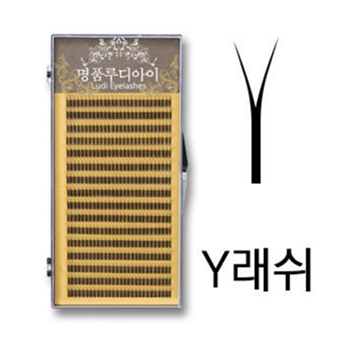 루가 Y 래쉬