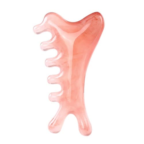 로즈페탈 하모니 괄사