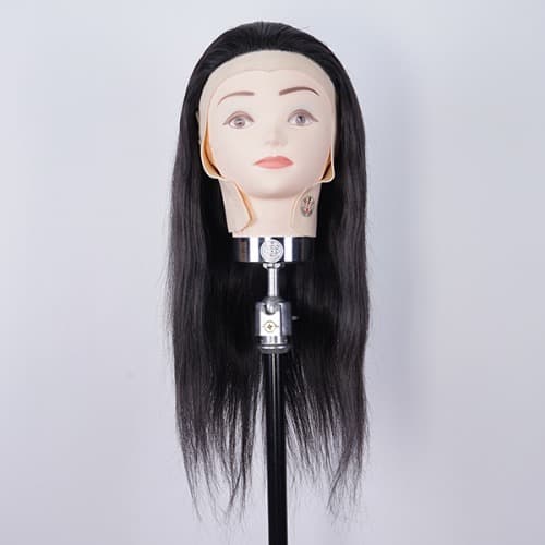 천혜사 리미티드 중급 커트 연습용 덧가발 MTW-L 아카데미용